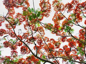 《Apex英雄》差评轰炸还未停歇 Steam在线降至2022年1月低点